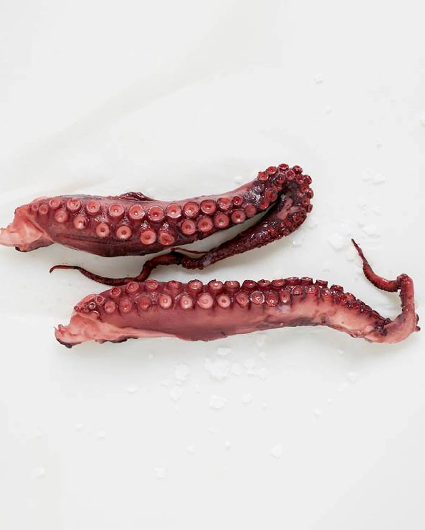 Cooked Octopus Tentacles 00 (per pack of 200 gr)